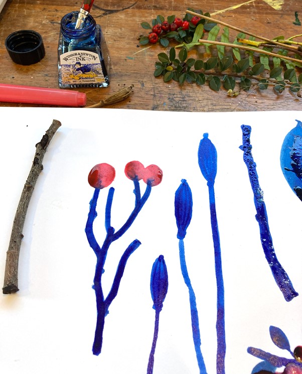 Nature Illustration 4 (Megan Reddi)