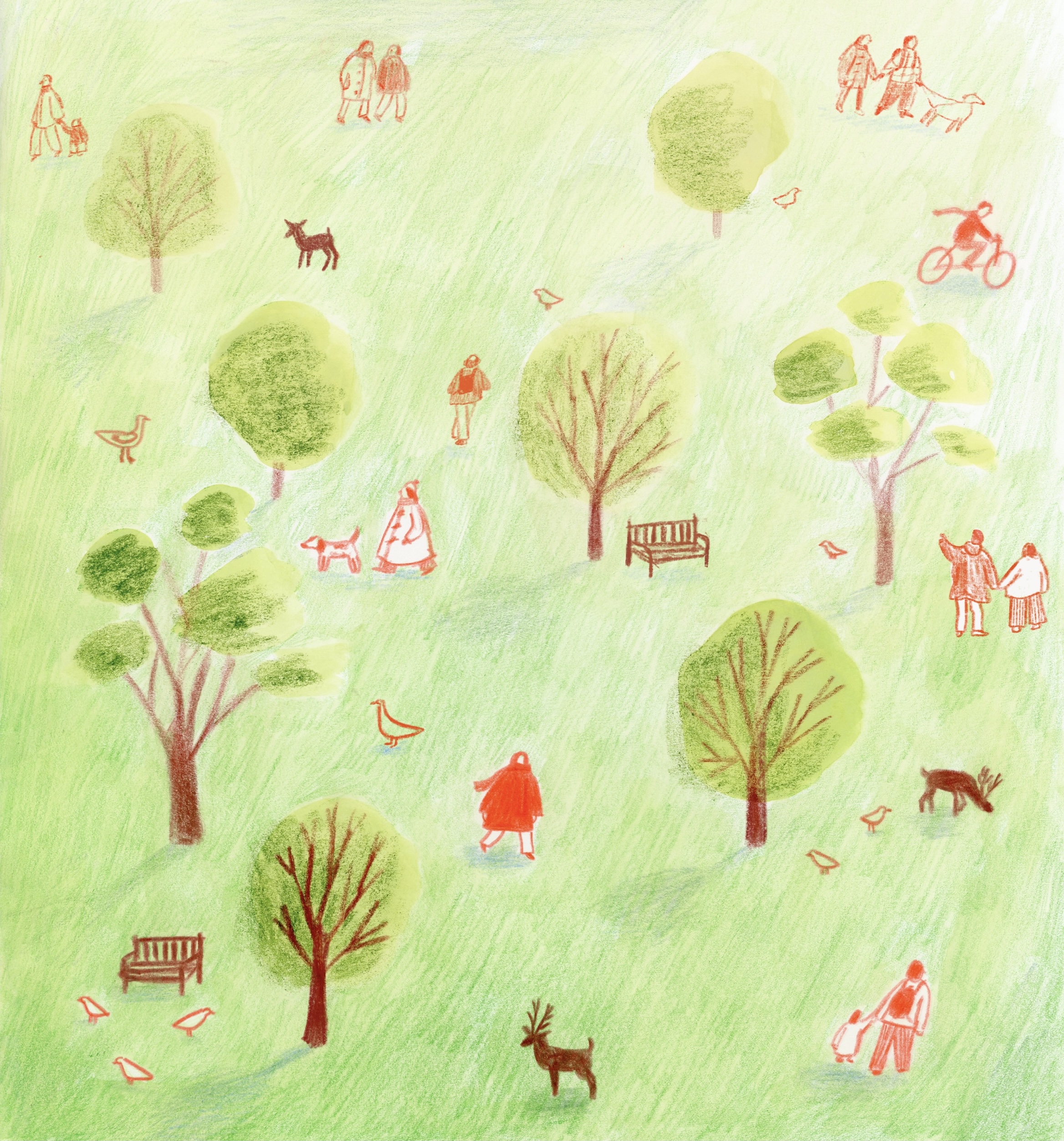 Megan Powell, Dunham Massey Park, 6 Week Illustration. Week 2- Scenes.